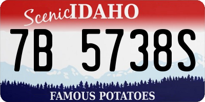 ID license plate 7B5738S