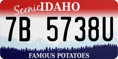 ID license plate 7B5738U