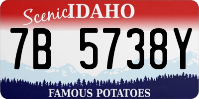ID license plate 7B5738Y