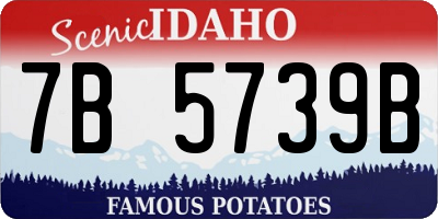 ID license plate 7B5739B