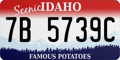 ID license plate 7B5739C