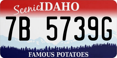 ID license plate 7B5739G