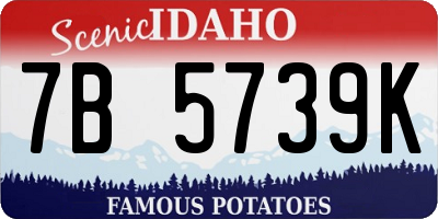 ID license plate 7B5739K