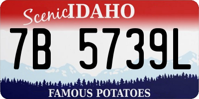 ID license plate 7B5739L