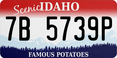 ID license plate 7B5739P