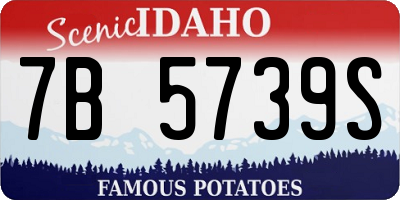 ID license plate 7B5739S