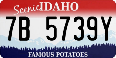 ID license plate 7B5739Y