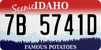 ID license plate 7B5741D