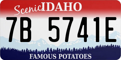 ID license plate 7B5741E