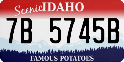 ID license plate 7B5745B