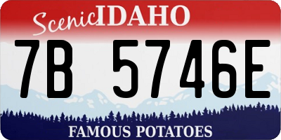 ID license plate 7B5746E