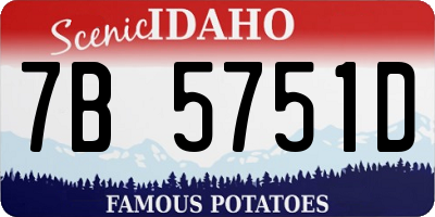 ID license plate 7B5751D