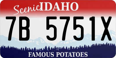 ID license plate 7B5751X