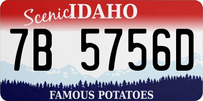 ID license plate 7B5756D