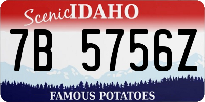 ID license plate 7B5756Z