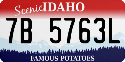 ID license plate 7B5763L