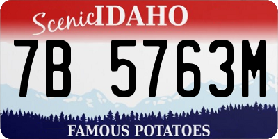ID license plate 7B5763M