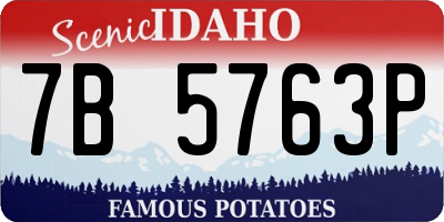 ID license plate 7B5763P