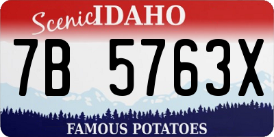ID license plate 7B5763X