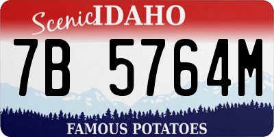ID license plate 7B5764M