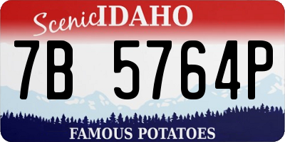 ID license plate 7B5764P