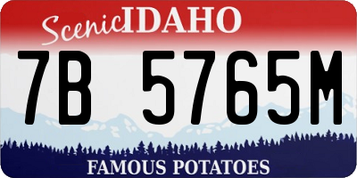 ID license plate 7B5765M