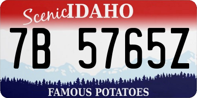 ID license plate 7B5765Z