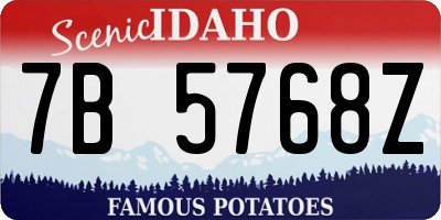 ID license plate 7B5768Z