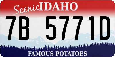 ID license plate 7B5771D