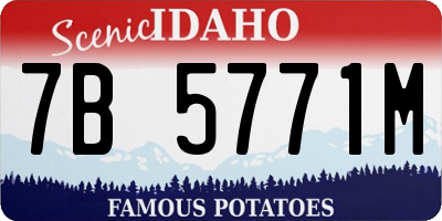 ID license plate 7B5771M