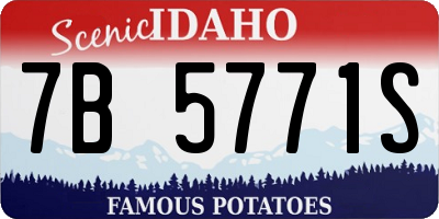 ID license plate 7B5771S