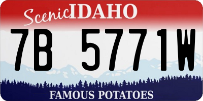 ID license plate 7B5771W