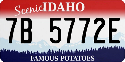 ID license plate 7B5772E