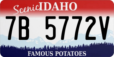 ID license plate 7B5772V
