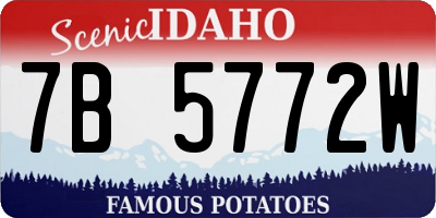 ID license plate 7B5772W
