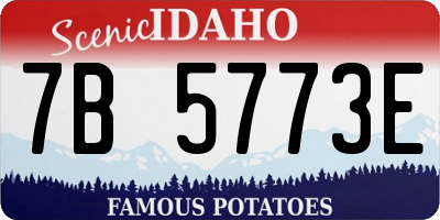 ID license plate 7B5773E