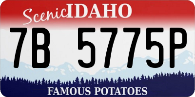 ID license plate 7B5775P
