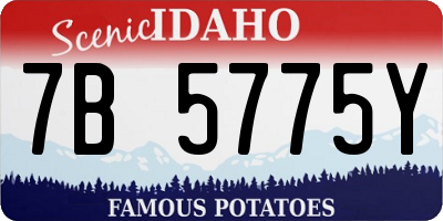 ID license plate 7B5775Y
