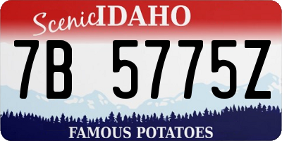 ID license plate 7B5775Z