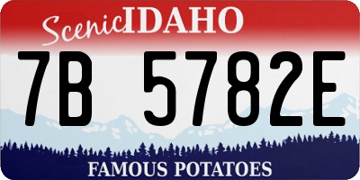 ID license plate 7B5782E