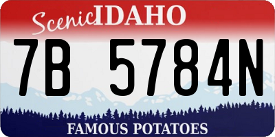 ID license plate 7B5784N