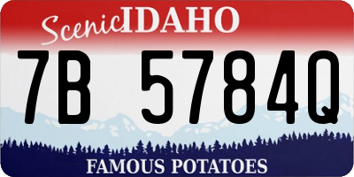 ID license plate 7B5784Q