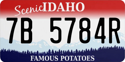 ID license plate 7B5784R