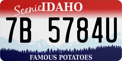 ID license plate 7B5784U