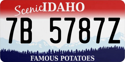 ID license plate 7B5787Z