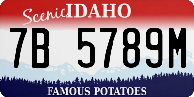 ID license plate 7B5789M