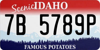 ID license plate 7B5789P