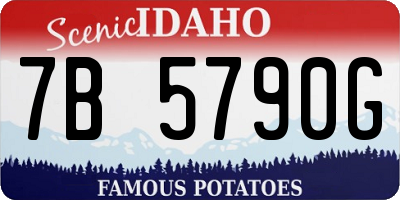 ID license plate 7B5790G