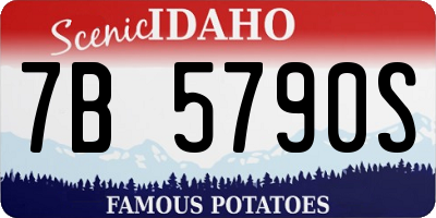 ID license plate 7B5790S