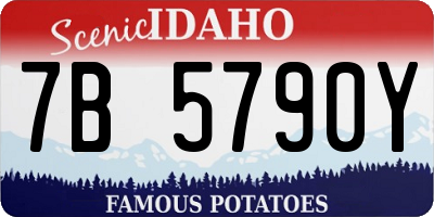 ID license plate 7B5790Y